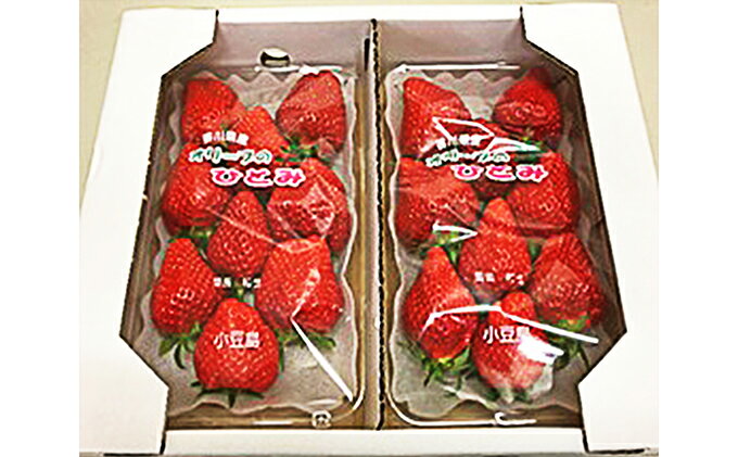 【ふるさと納税】【 小豆島 】小豆島のいちご（女峰）DXパック［ 250g×2パック］ 果物類 苺 イチゴ 　お届け：2026年1月下旬～2026年2月下旬 サムネイル2