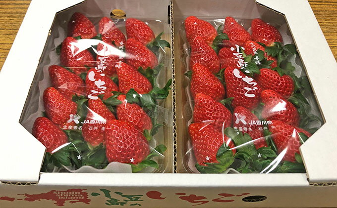 【ふるさと納税】【 小豆島 】【3月からの発送】小豆島のいちご（女峰）DXパック (250g×2パック入り) 果物類 苺 イチゴ 　お届け：2026年3月上旬～5月中旬 サムネイル2