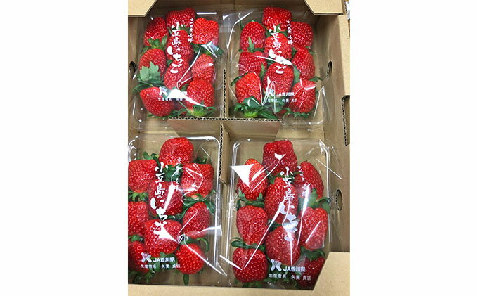 【ふるさと納税】【 小豆島 】【3月からの発送】小豆島のいちご（女峰）230g×4パック 果物類 苺 イチゴ 　お届け：2026年3月上旬～5月中旬 サムネイル2