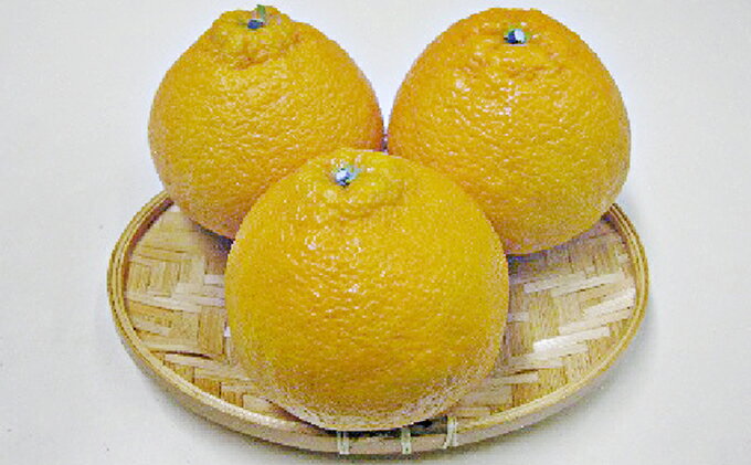 【ふるさと納税】【 小豆島 】小豆島 ハウスデコポン 約5kg みかん 柑橘類 果物類 フルーツ 　お届け：2026年1月下旬～3月上旬 サムネイル2