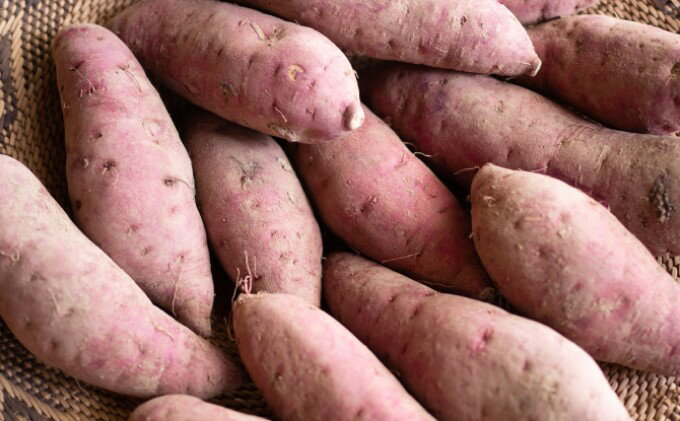 【ふるさと納税】【 小豆島 】小豆島のサツマイモ〈 紅はるか 〉4kg さつまいも サツマイモ 芋 いも イモ 野菜 甘い おやつ 軽食 香川 香川県 土庄 土庄町　お届け：2026年4月上旬頃まで - 画像2