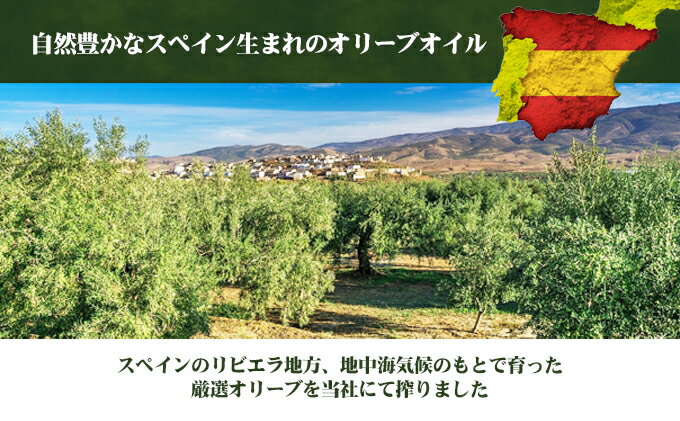 【ふるさと納税】【 小豆島 】リビエラ オリーブオイル 500ml×3本 サムネイル3