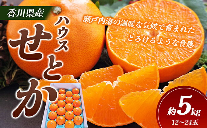 【ふるさと納税】【 小豆島 】ハウスせとか　約5kg 果物類 フルーツ 柑橘類 温暖 とろける 食感 外皮 内皮 内皮ごと 美味しい 　お届け：2026年1月下旬～2026年2月下旬 サムネイル2