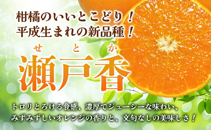 【ふるさと納税】【 小豆島 】ハウスせとか　約5kg 果物類 フルーツ 柑橘類 温暖 とろける 食感 外皮 内皮 内皮ごと 美味しい 　お届け：2026年1月下旬～2026年2月下旬 サムネイル3