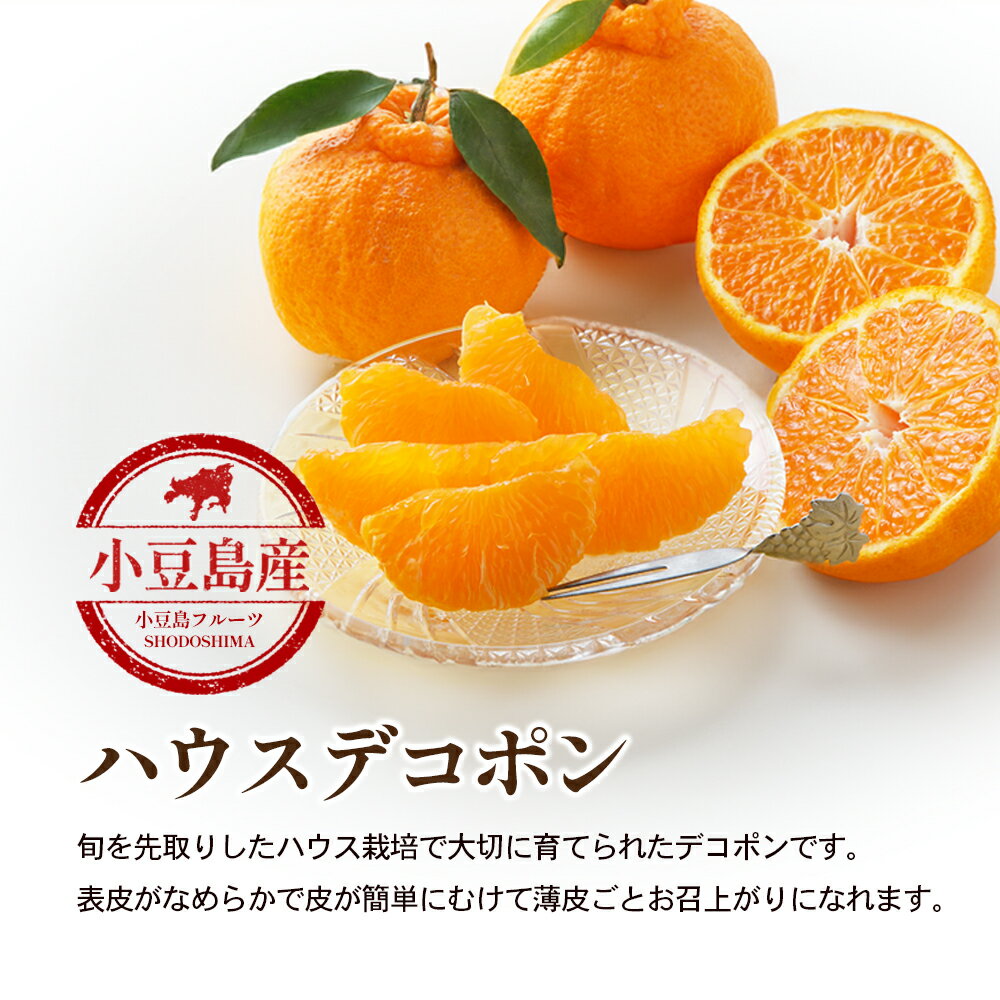 【ふるさと納税】【 小豆島 】ハウスデコポン　約2.8kg化粧箱　お届け：2025年12月中旬～2026年2月下旬 サムネイル3
