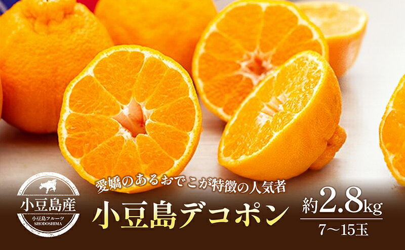 【ふるさと納税】【 小豆島 】小豆島　デコポン　約2.8kg　お届け：2026年2月下旬～2026年4月上旬 サムネイル2