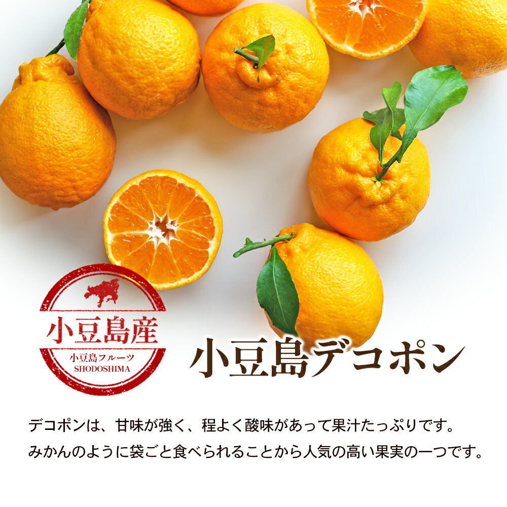 【ふるさと納税】【 小豆島 】小豆島　デコポン　約2.8kg　お届け：2026年2月下旬～2026年4月上旬 サムネイル3