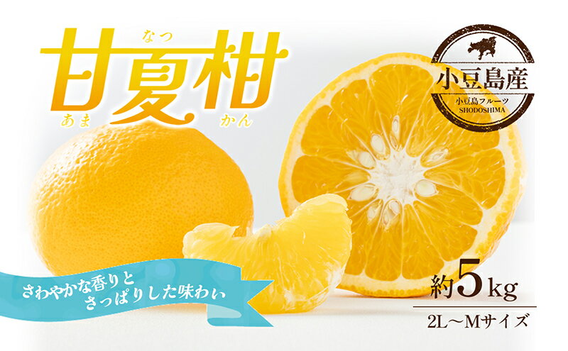 【ふるさと納税】【 小豆島 】甘夏柑　約5kg　お届け：2026年4月上旬～2026年5月中旬 サムネイル2
