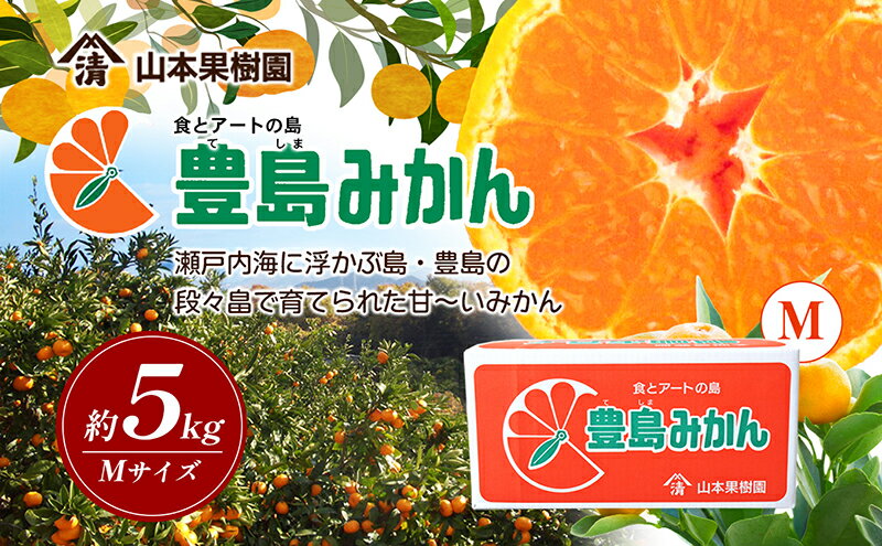 【ふるさと納税】【 小豆島 】瀬戸内海に浮かぶ島・豊島の段々畠で育てられた甘～いみかん（Mサイズ5kg）1箱 豊島 みかん 蜜柑 ミカン 甘い 瀬戸内海 てしま 柑橘 フルーツ 果物 くだもの 香川 香川県 土庄 土庄町　お届け：2025年11月中旬～2026年1月上旬 サムネイル2