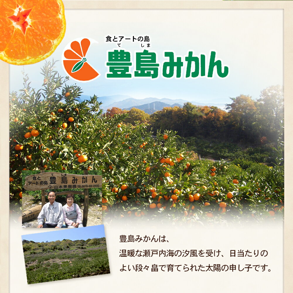 【ふるさと納税】【 小豆島 】瀬戸内海に浮かぶ島・豊島の段々畠で育てられた甘～いみかん（Mサイズ5kg）1箱 豊島 みかん 蜜柑 ミカン 甘い 瀬戸内海 てしま 柑橘 フルーツ 果物 くだもの 香川 香川県 土庄 土庄町　お届け：2025年11月中旬～2026年1月上旬 サムネイル3