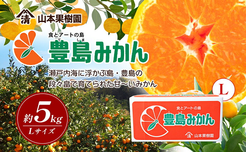 【ふるさと納税】【 小豆島 】瀬戸内海に浮かぶ島・豊島の段々畠で育てられた甘～いみかん（Lサイズ5kg）1箱 豊島 みかん 蜜柑 ミカン 甘い 瀬戸内海 てしま 柑橘 フルーツ 果物 くだもの 香川 香川県 土庄 土庄町　お届け：2025年11月中旬～2026年1月上旬 サムネイル2