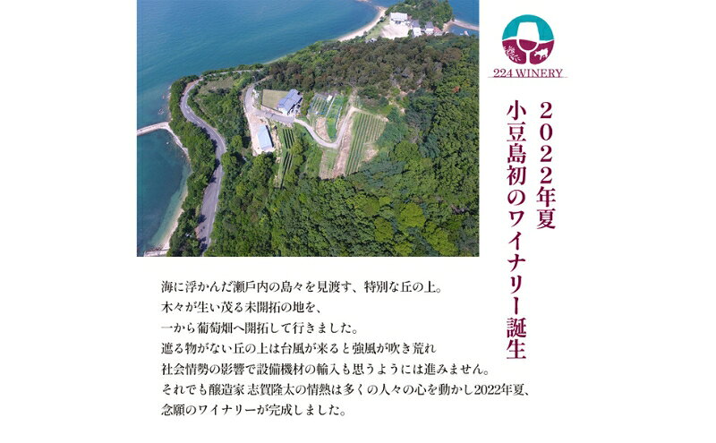 【ふるさと納税】小豆島醸造　デラウェア　2024 サムネイル3