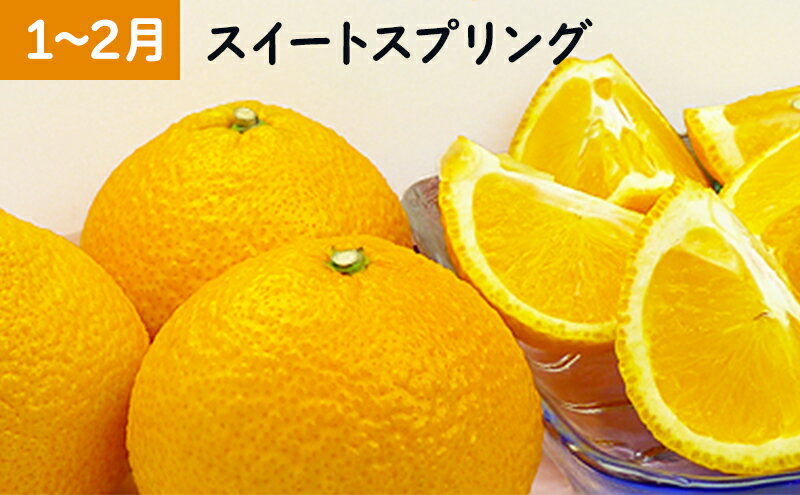 【ふるさと納税】【小豆島】【6回お届け】土庄町 旬の果実 定期便 フルーツ 果物 季節 旬 柑橘 いちご みかん シャインマスカット キウイ 香川 香川県 サムネイル3