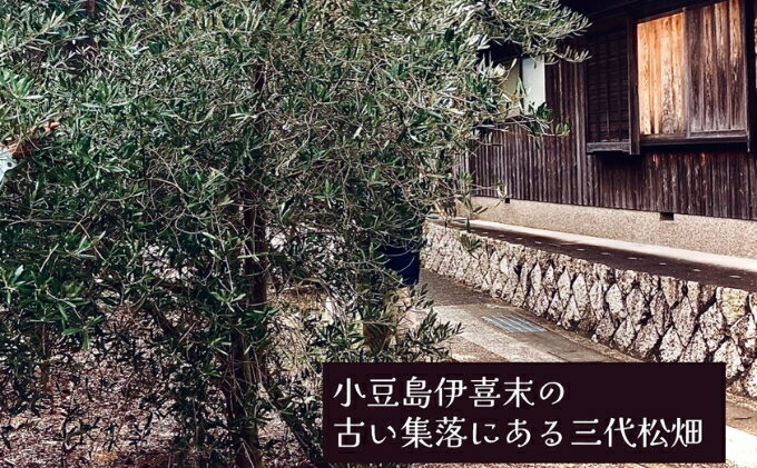 【ふるさと納税】小豆島産オリーブオイル 100% 搾りたて小豆島産三代松家オリーブオイル (エクストラバージンオイル・濾過) 67ml 3本　お届け：2025年11月25日～2027年9月10日まで サムネイル3