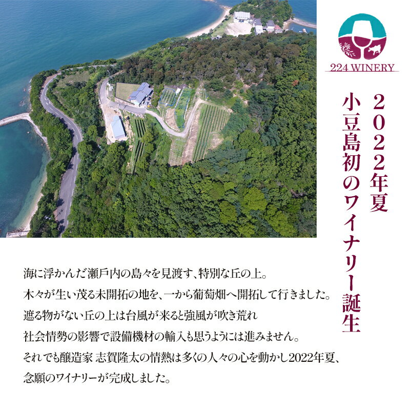 【ふるさと納税】島醸造 メルロー 2024 720ml 小豆島醸造 赤ワイン 日本ワイン 化粧箱入り お酒 酒 ワイン 熟成 贈り物 ギフト 国産 香川 香川県 土庄 土庄町 サムネイル3