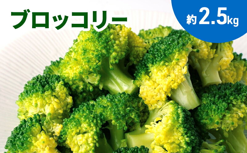 【ふるさと納税】ブロッコリー　約2.5kg　お届け：2025年11月25日～2026年6月9日まで - 画像2