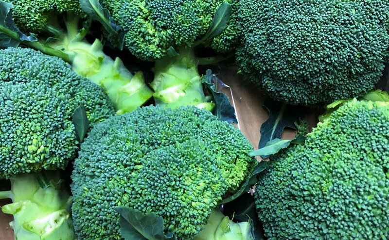 【ふるさと納税】ブロッコリー　約2.5kg　お届け：2025年11月25日～2026年6月9日まで - 画像3