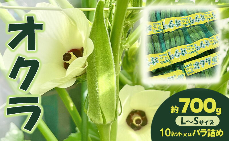 【ふるさと納税】オクラ 約700g 野菜　お届け：2026年7月22日～10月10日 - 画像2