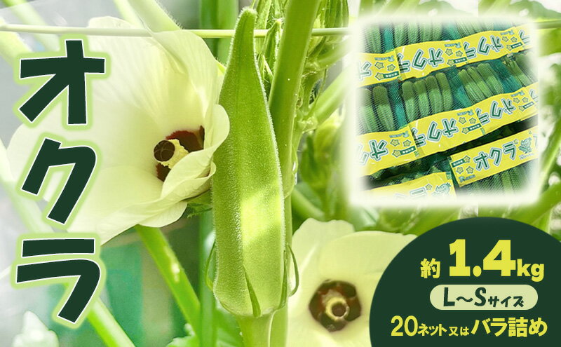 【ふるさと納税】オクラ 約1.4kg 野菜　お届け：2026年7月22日～10月10日 - 画像2