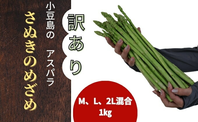 【ふるさと納税】（訳アリ）小豆島産アスパラガス「さぬきのめざめ」M、L、2L混合1kg　お届け：2026年4月以降発送開始 - 画像2