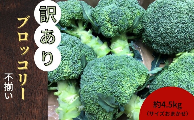 【ふるさと納税】訳ありブロッコリー　約4.5kg（サイズおまかせ）　お届け：11月下旬から5月上旬 - 画像2