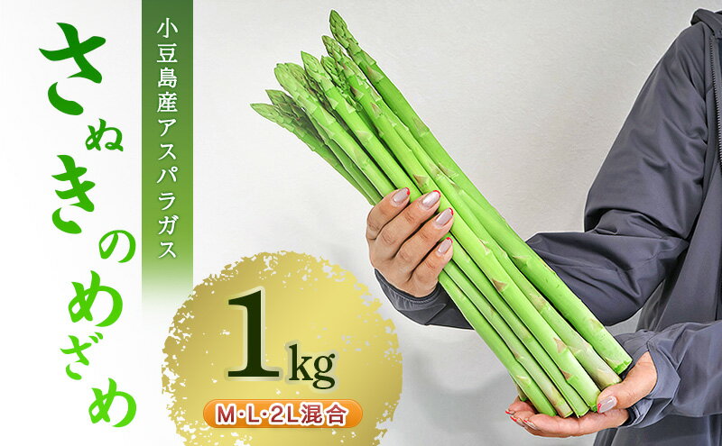 【ふるさと納税】アスパラガス 小豆島産 「さぬきのめざめ」 M、L、2L混合1kg 野菜　お届け：2026年4月以降発送開始 - 画像2