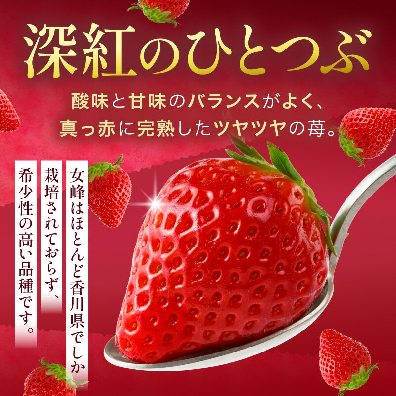 【ふるさと納税】【苺ファーム森本】女峰いちご　小パック180g×4パック　≪　IDOMALL　セレクト≫ いちご ストロベリー 女峰 苺 冷蔵 フルーツ 旬 果物 香川県 デザート 青果物 贈答 プレゼント パック 贈り物 おすすめ サムネイル3