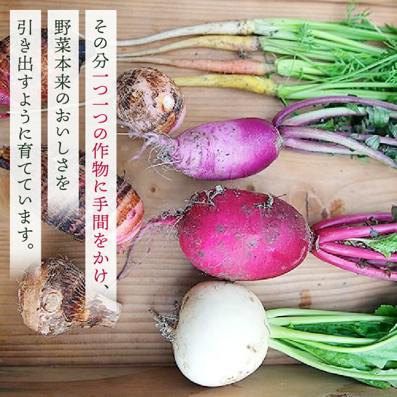 【ふるさと納税】プチマルシェお野菜ボックス(M)　季節の野菜8〜9種類　≪　IDOMALL　セレクト≫ 野菜 新鮮 冷蔵 旬 香川県 野菜ボックス 季節の野菜 青果物 季節 マルシェ 冷蔵 おすすめ - 画像3