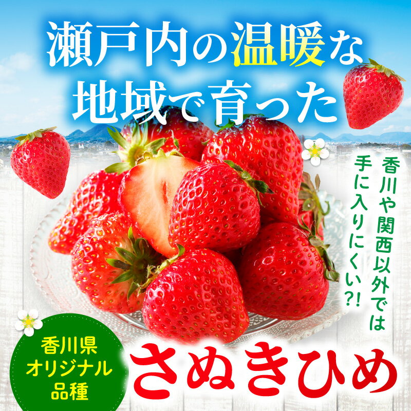 【ふるさと納税】三木町地域いちご部会「さぬきひめ」1.0kg 果物 フルーツ 苺 デザート イチゴ 旬 おすすめ グルメ 季節 ギフト 果肉 おすそ分け アレンジ いちごジャム 旬の果物 贈答 贈り物 果実 青果物 パック 国産 冷蔵 香川県 三木町 サムネイル2