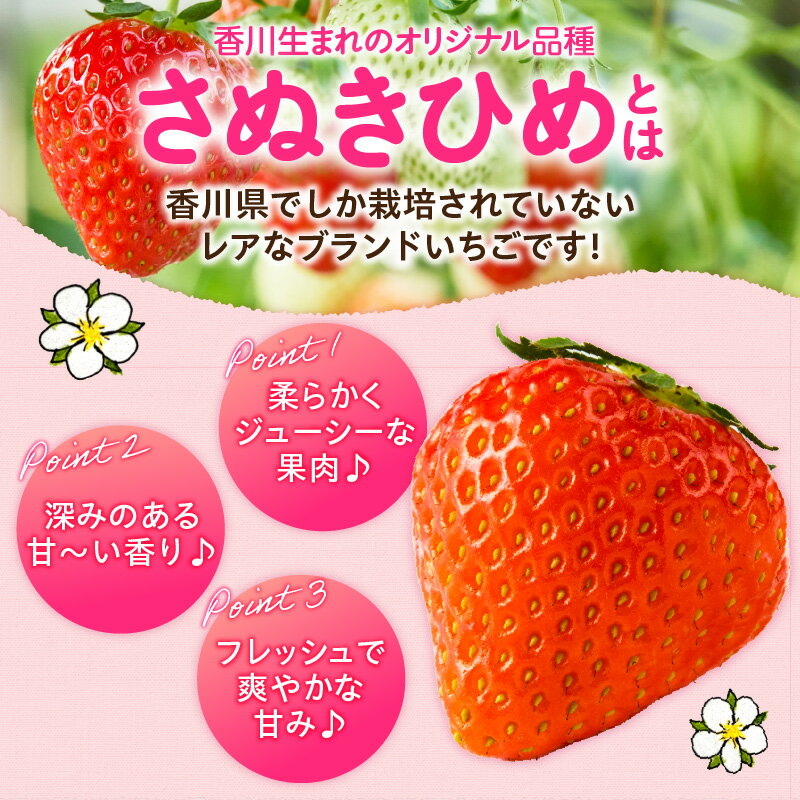 【ふるさと納税】【先行予約】苺音スタンダード～春の大粒のさぬきひめいちご～ 約850g スイーツ いちご ストロベリー さぬきひめ 大粒いちご 苺 冷蔵 フルーツ 旬 果物 香川県 デザート 青果物 先行受付 先行予約 季節限定 おすすめ 特産品 香川県産 冷蔵 三木町 送料無料 サムネイル2