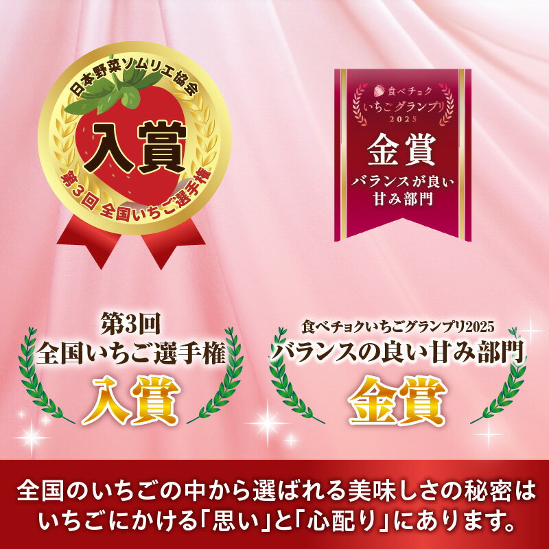 【ふるさと納税】【先行予約】苺音スタンダード～春の大粒のさぬきひめいちご～ 約850g スイーツ いちご ストロベリー さぬきひめ 大粒いちご 苺 冷蔵 フルーツ 旬 果物 香川県 デザート 青果物 先行受付 先行予約 季節限定 おすすめ 特産品 香川県産 冷蔵 三木町 送料無料 サムネイル3