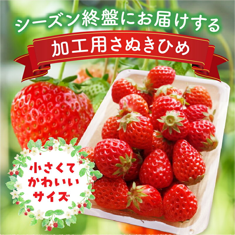 【ふるさと納税】【2026年発送分 先行受付】苺音クラフト〜加工用さぬきひめいちご約2kg スイーツ いちご ストロベリー さぬきひめ 苺 冷蔵 フルーツ 旬 果物 香川県 デザート 青果物 先行予約 季節限定 旬 おすすめ 三木町 送料無料 サムネイル2