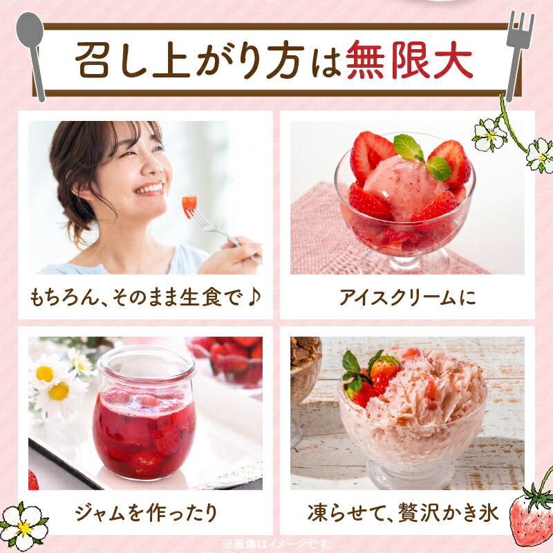 【ふるさと納税】【2026年発送分 先行受付】苺音クラフト〜加工用さぬきひめいちご約2kg スイーツ いちご ストロベリー さぬきひめ 苺 冷蔵 フルーツ 旬 果物 香川県 デザート 青果物 先行予約 季節限定 旬 おすすめ 三木町 送料無料 サムネイル3