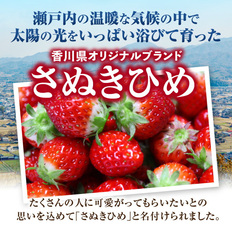【ふるさと納税】超高級大粒いちご 極甘さぬき姫260g×2パック(ハンモックトレー)　いちご 大粒 高級 さぬき姫 果物 フルーツ おすすめ 旬 イチゴ 季節 旬の果物 ギフト パック 果実 贈り物 デザート 人気 果肉 生鮮食品 国産 冷蔵 香川県 三木町 サムネイル2