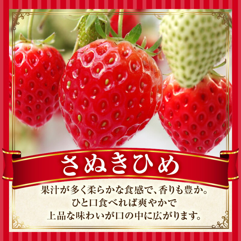 【ふるさと納税】超高級大粒いちご 極甘さぬき姫260g×2パック(ハンモックトレー)　いちご 大粒 高級 さぬき姫 果物 フルーツ おすすめ 旬 イチゴ 季節 旬の果物 ギフト パック 果実 贈り物 デザート 人気 果肉 生鮮食品 国産 冷蔵 香川県 三木町 サムネイル3