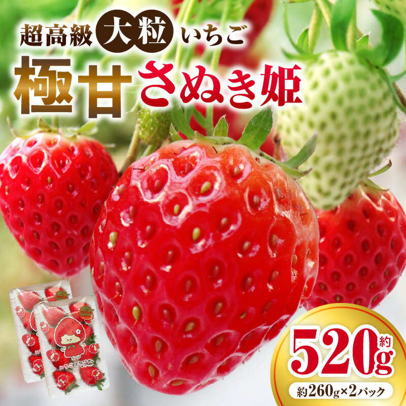 超高級大粒いちご 極甘さぬき姫260g×2パック(ハンモックトレー)　いちご 大粒 高級 さぬき姫 果物 フルーツ おすすめ 旬 イチゴ 季節 旬の果物 ギフト パック 果実 贈り物 デザート 人気 果肉 生鮮食品 国産 冷蔵 香川県 三木町