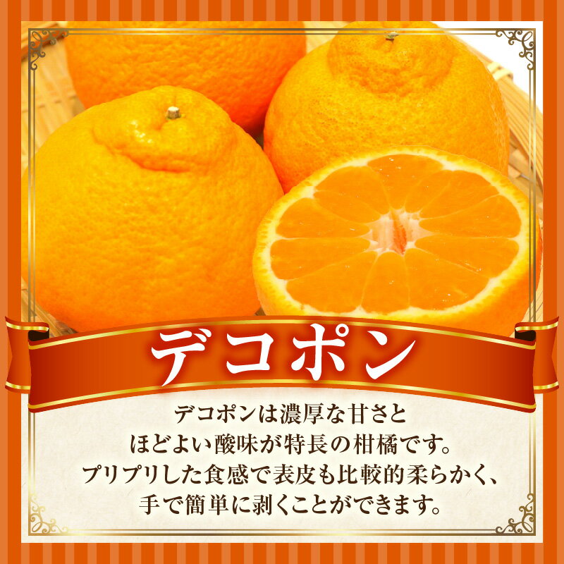 【ふるさと納税】季節の恵み3回定期便H 果物 フルーツ 青果 青果物 デザート スイーツ 果実 旬 季節 旬の果物 季節の果物 生鮮食品 生鮮 贈答 贈り物 ギフト プレゼント おすそ分け ご褒美 人気 グルメ お取り寄せ 特産品 特産 国産 香川県 三木町 サムネイル3