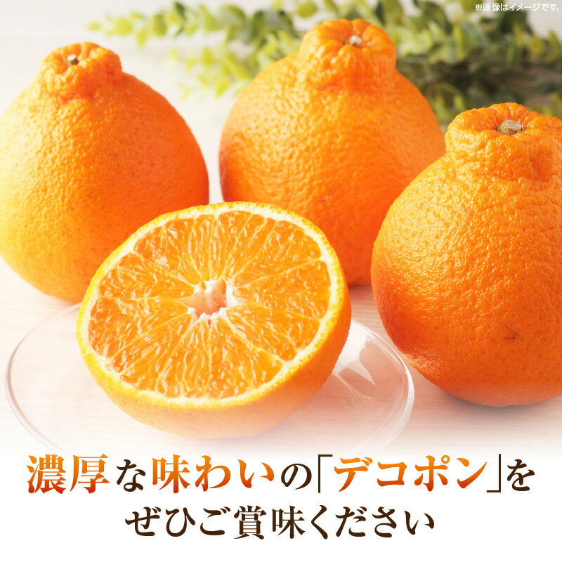 【ふるさと納税】デコポン(ハウス) 化粧箱2.7kg デコポン みかん フルーツ 果物 旬 柑橘 デザート お裾分け 旬 旬の果物 おすすめ 人気 デザート 生鮮食品 果実 お取り寄せ 贈答用 贈り物 柑橘類 季節 季節の果物 柑橘系 香川県 三木町 サムネイル3