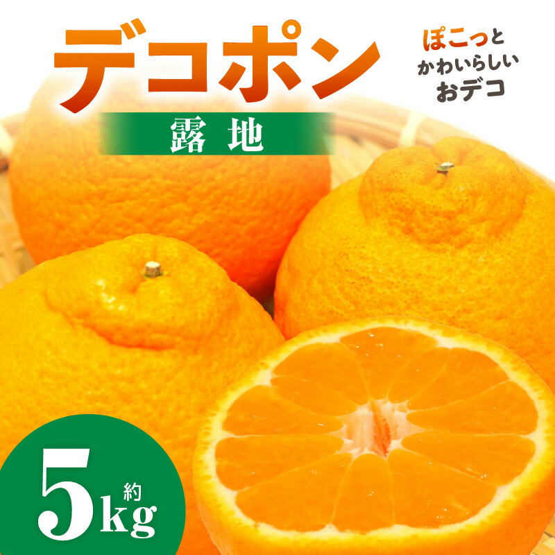 デコポン(露地) 5kg デコポン みかん フルーツ 果物 旬 柑橘 デザート お裾分け 旬 旬の果物 おすすめ 人気 デザート 生鮮食品 果実 お取り寄せ 贈答用 贈り物 柑橘類 季節 季節の果物 柑橘系 香川県 三木町