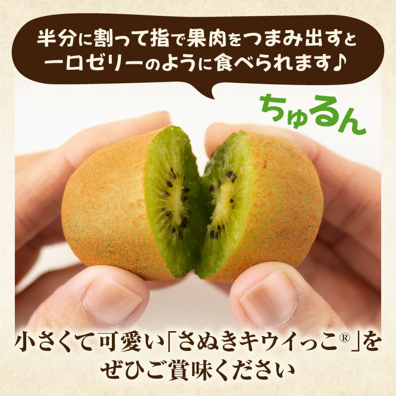 【ふるさと納税】こつぶでちゅるん　さぬきキウイっこ 約1.2kg キウイ フルーツ 果物 旬 旬の果物 キウイフルーツ デザート 生鮮食品 贈り物 贈答 お裾分け おすすめ 人気 ギフト グルメ 特産品 果肉 季節 季節の果物 香川県 三木町 送料無料 サムネイル3
