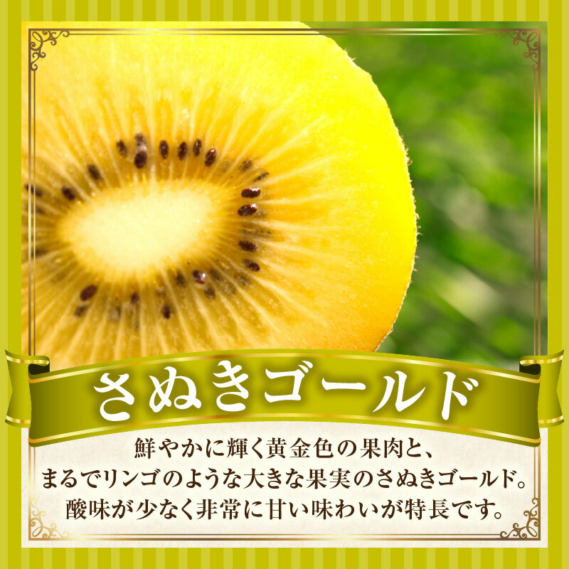 【ふるさと納税】キウイフルーツ(さぬきゴールド) 化粧箱1.2kg キウイ フルーツ 果物 旬 旬の果物 キウイフルーツ デザート 生鮮食品 贈り物 贈答 お裾分け おすすめ 人気 ギフト グルメ 特産品 果肉 季節 季節の果物 香川県 三木町 送料無料 サムネイル2