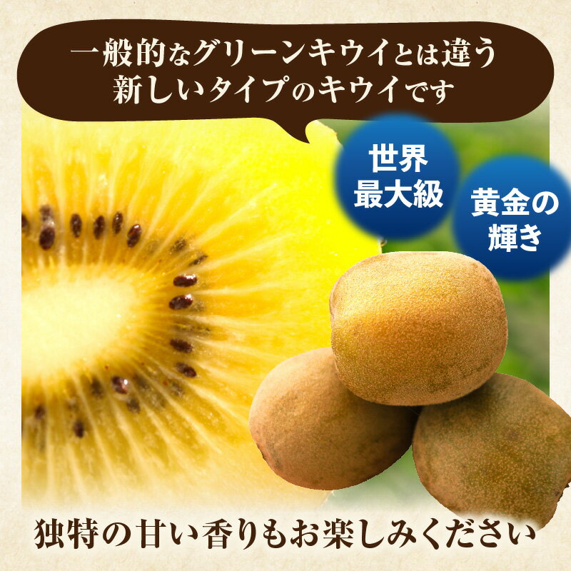 【ふるさと納税】キウイフルーツ(さぬきゴールド) 化粧箱1.2kg キウイ フルーツ 果物 旬 旬の果物 キウイフルーツ デザート 生鮮食品 贈り物 贈答 お裾分け おすすめ 人気 ギフト グルメ 特産品 果肉 季節 季節の果物 香川県 三木町 送料無料 サムネイル3