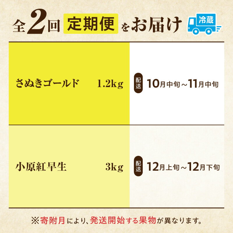 【ふるさと納税】季節の恵み2回定期便H 果物 フルーツ 定期便 果物定期便 フルーツ定期便 果実 旬 旬の果物 旬のフルーツ 旬の果物定期便 旬の定期便 デザート スイーツ 果汁 贈答 贈り物 キウイ ゴールドキウイ キウイフルーツ みかん 香川県 三木町 サムネイル2