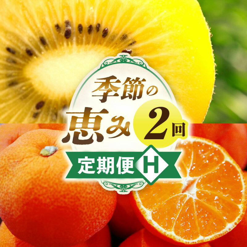 季節の恵み2回定期便H 果物 フルーツ 定期便 果物定期便 フルーツ定期便 果実 旬 旬の果物 旬のフルーツ 旬の果物定期便 旬の定期便 デザート スイーツ 果汁 贈答 贈り物 キウイ ゴールドキウイ キウイフルーツ みかん 香川県 三木町