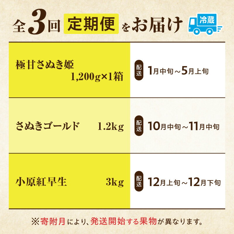 【ふるさと納税】季節の恵み3回定期便C 果物 フルーツ 青果 青果物 デザート スイーツ 果実 旬 季節 旬の果物 季節の果物 生鮮食品 生鮮 贈答 贈り物 ギフト プレゼント おすそ分け ご褒美 人気 グルメ お取り寄せ 特産品 特産 国産 香川県 三木町 サムネイル2