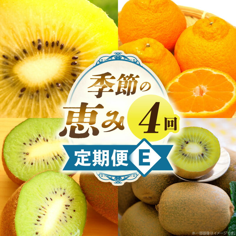 季節の恵み4回定期便E 果物 フルーツ 青果 青果物 デザート スイーツ 果実 旬 季節 旬の果物 季節の果物 生鮮食品 生鮮 贈答 贈り物 ギフト プレゼント おすそ分け ご褒美 人気 グルメ お取り寄せ 特産品 特産 国産 香川県 三木町