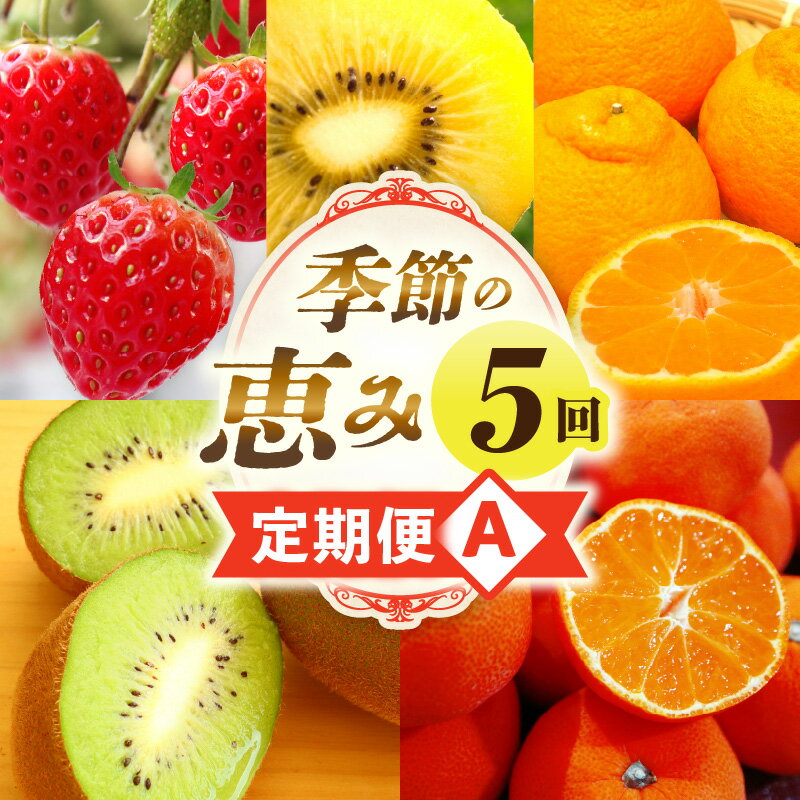 季節の恵み5回定期便A 果物 フルーツ 青果 青果物 デザート スイーツ 果実 旬 季節 旬の果物 季節の果物 生鮮食品 生鮮 贈答 贈り物 ギフト プレゼント おすそ分け ご褒美 人気 グルメ お取り寄せ 特産品 特産 国産 香川県 三木町