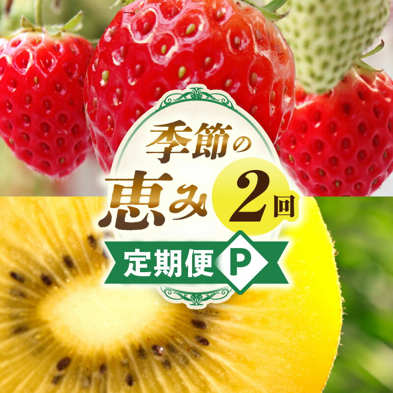季節の恵み2回定期便P 果物 フルーツ 青果 青果物 デザート スイーツ 果実 旬 季節 旬の果物 季節の果物 生鮮食品 生鮮 贈答 贈り物 ギフト プレゼント おすそ分け ご褒美 人気 グルメ お取り寄せ 特産品 特産 国産 香川県 三木町