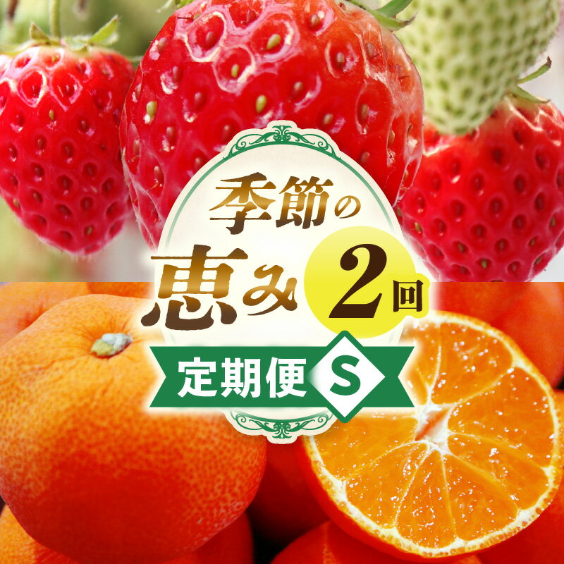 季節の恵み2回定期便S 果物 フルーツ 青果 青果物 デザート スイーツ 果実 旬 季節 旬の果物 季節の果物 生鮮食品 生鮮 贈答 贈り物 ギフト プレゼント おすそ分け ご褒美 人気 グルメ お取り寄せ 特産品 特産 国産 香川県 三木町