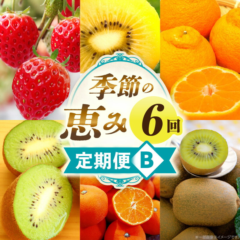 季節の恵み6回定期便B 果物 フルーツ 青果物 デザート スイーツ 果実 果肉 旬 季節 旬の果物 季節の果物 生鮮食品 生鮮 贈答 贈り物 ギフト プレゼント おすそ分け ご褒美 人気 グルメ お取り寄せ 特産品 特産 国産 香川県 三木町